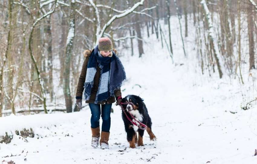 Ways To Stay Active in the Winter