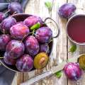 Do prune juice helps you overcome constipation?